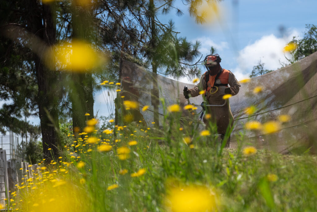 PG intensifica fiscalização e multa proprietários por terrenos baldios abandonados