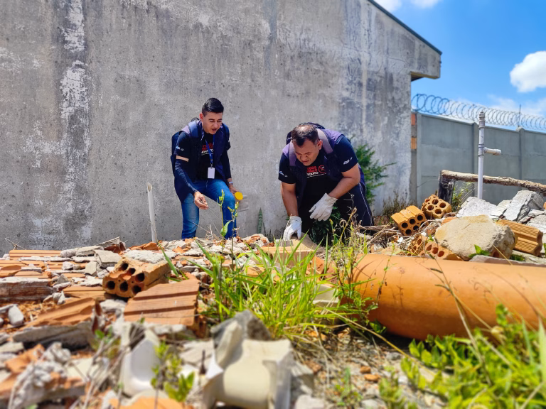 Mutirão combate risco de escorpião-amarelo na Vila Cipa em Ponta Grossa