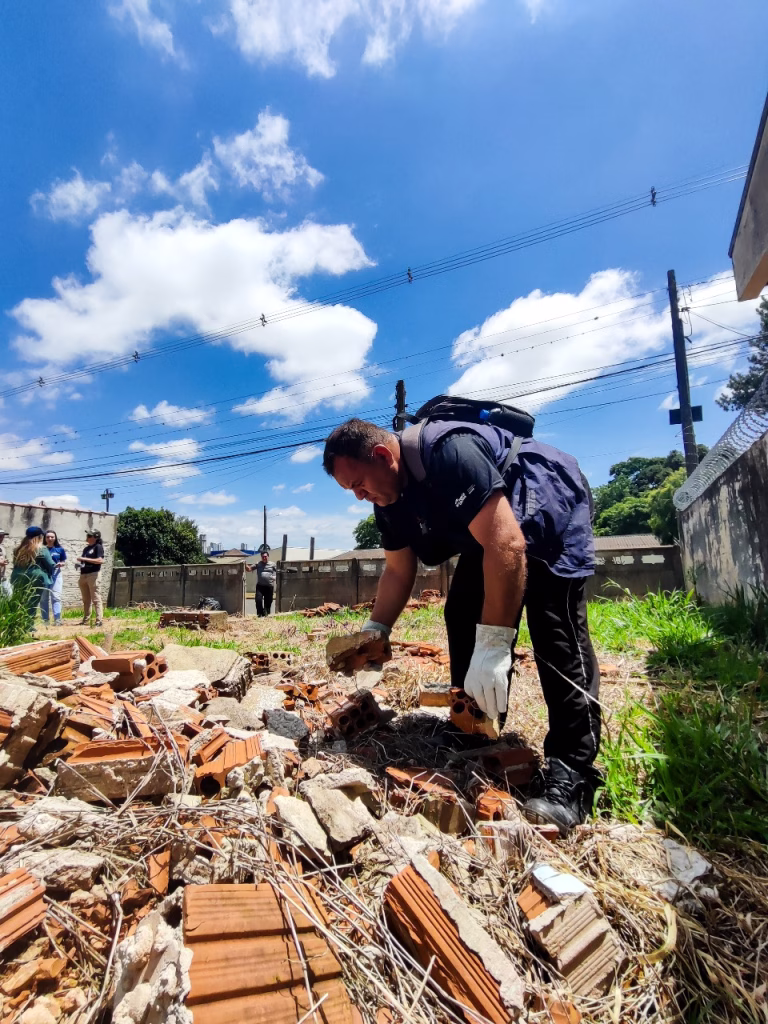 Mutirão combate escorpião-amarelo em Ponta Grossa