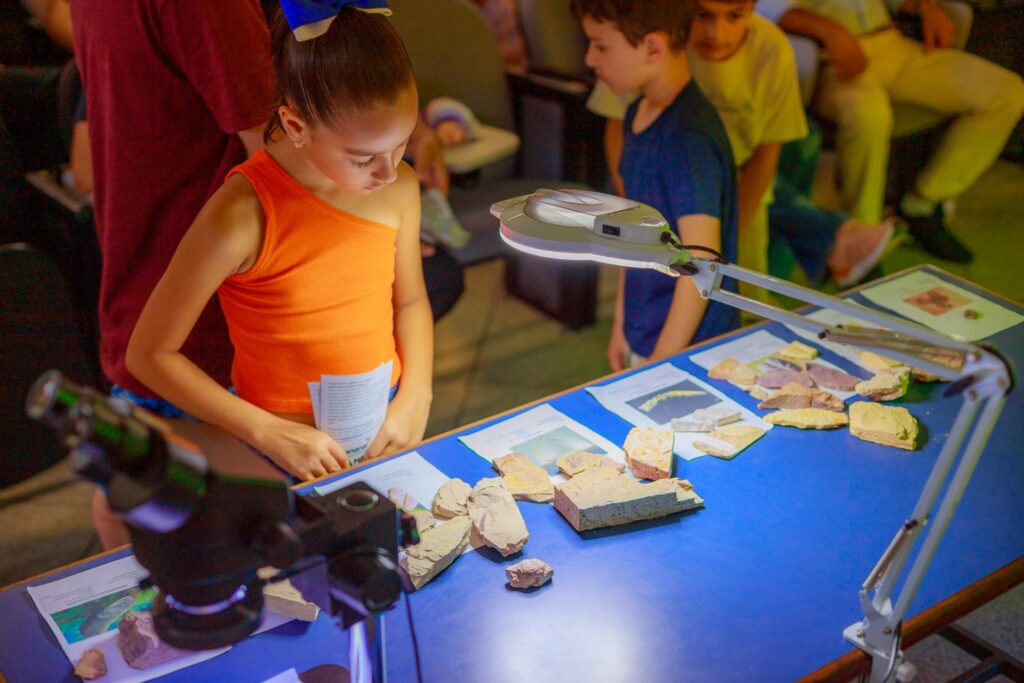 Acervo com 2.600 fósseis amplia pesquisas e consolida UEPG como referência em paleontologia