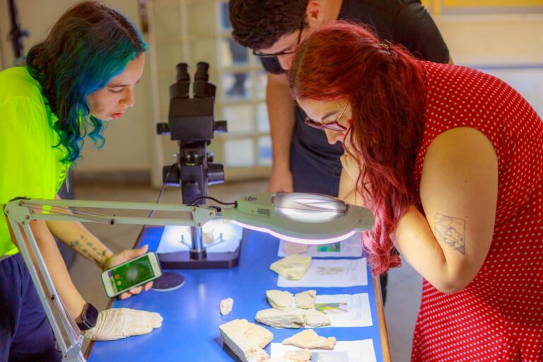 Acervo com 2.600 fósseis amplia pesquisas e consolida UEPG como referência em paleontologia