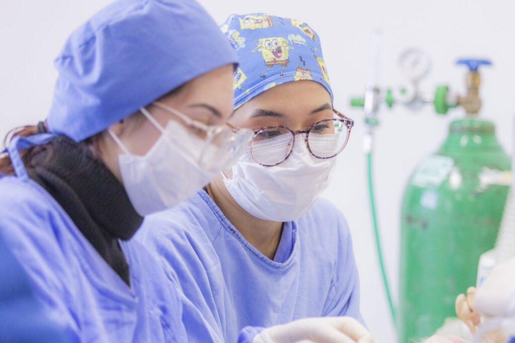 Medicina da UEPG atinge nota máxima no Enamed 2025