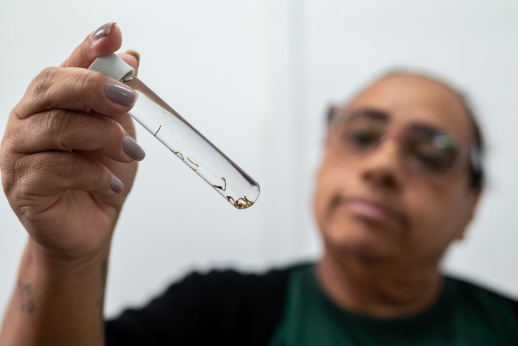 Ponta Grossa intensifica fiscalização para conter dengue