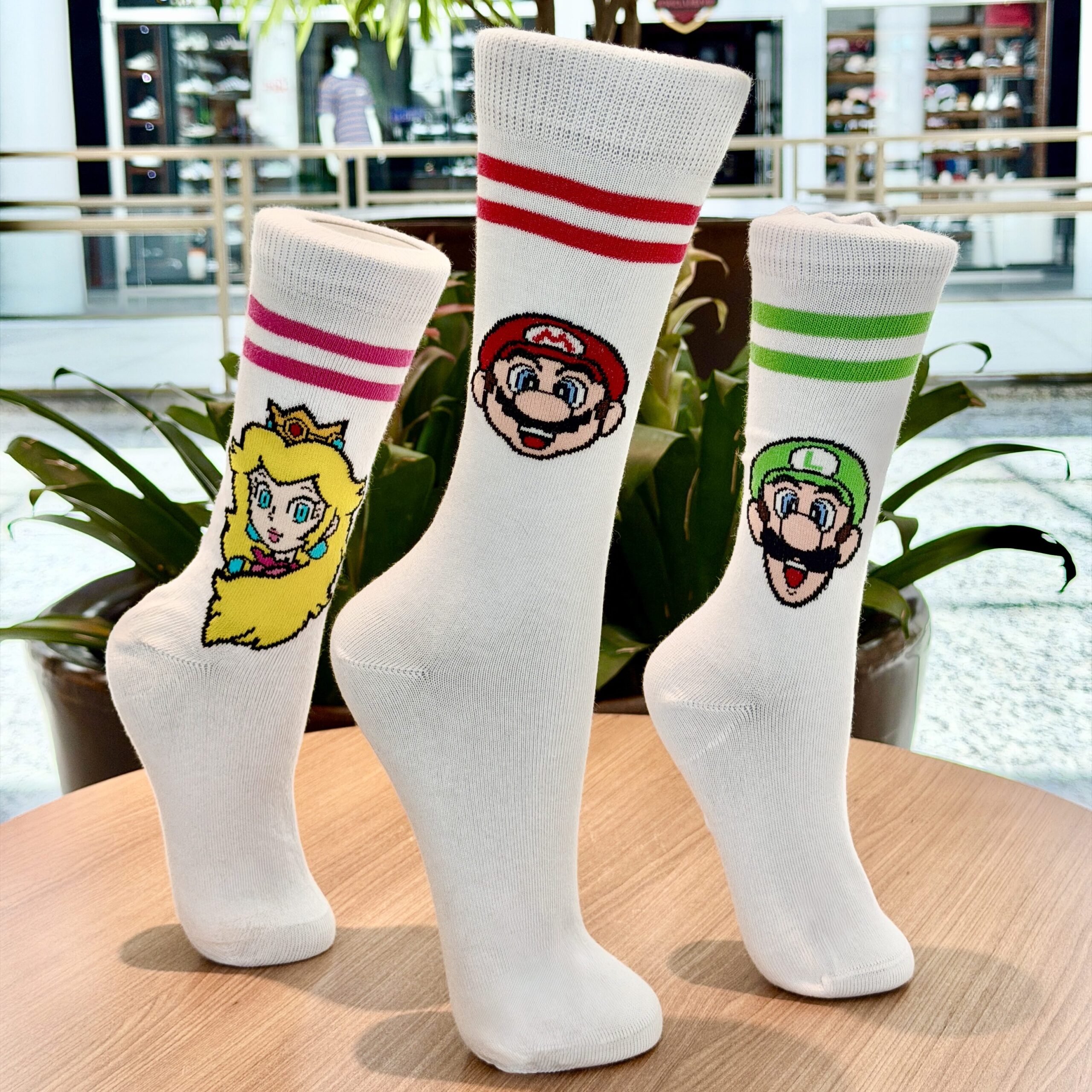 Palladium terá caça ao ninho e brindes de Páscoa em Ponta Grossa