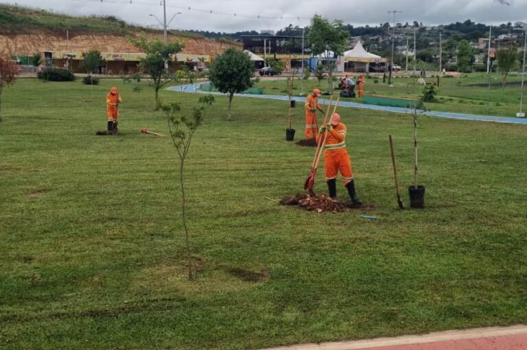 PG figura entre as 100 melhores cidades do Brasil em Meio Ambiente